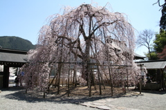 20140414-101