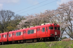 桜散る終着駅Ⅱ