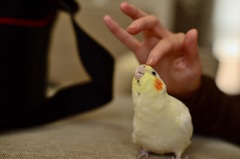 んー？
