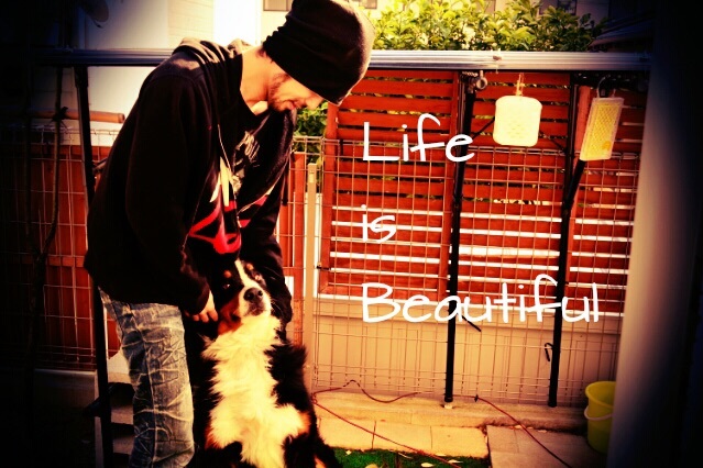 LIFE