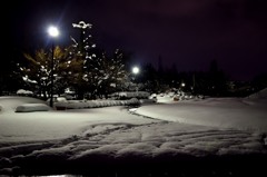夜の公園