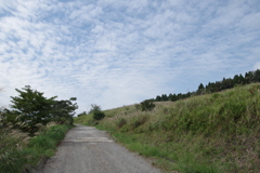 湯布院の散策路