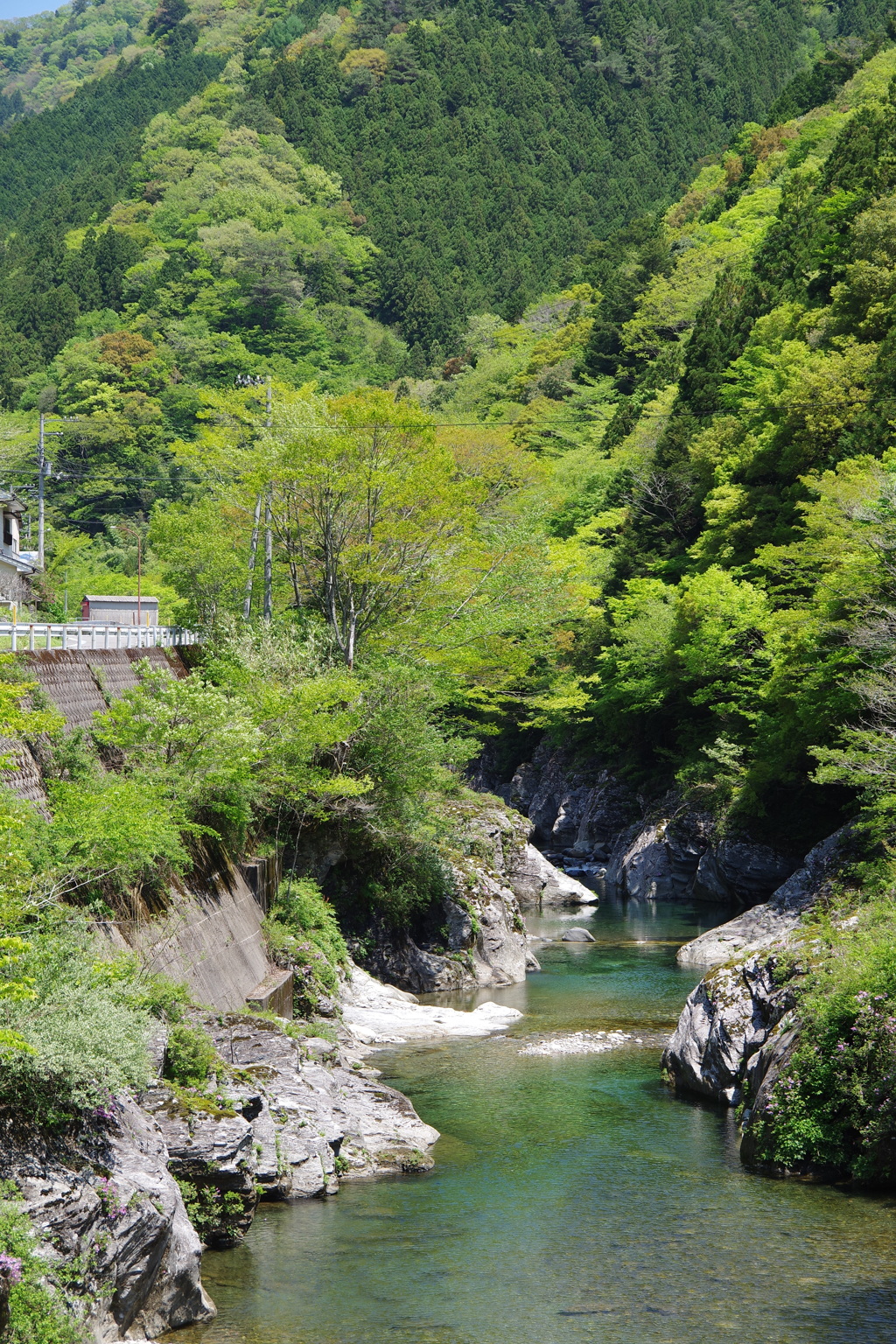 面河川を下りながら