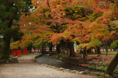 加茂神社