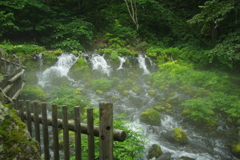 京極 ふきだし湧水