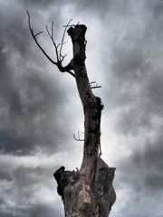 Devastation