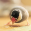 ふわり