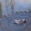 DSCF3031_2