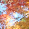 DSCF2905_2
