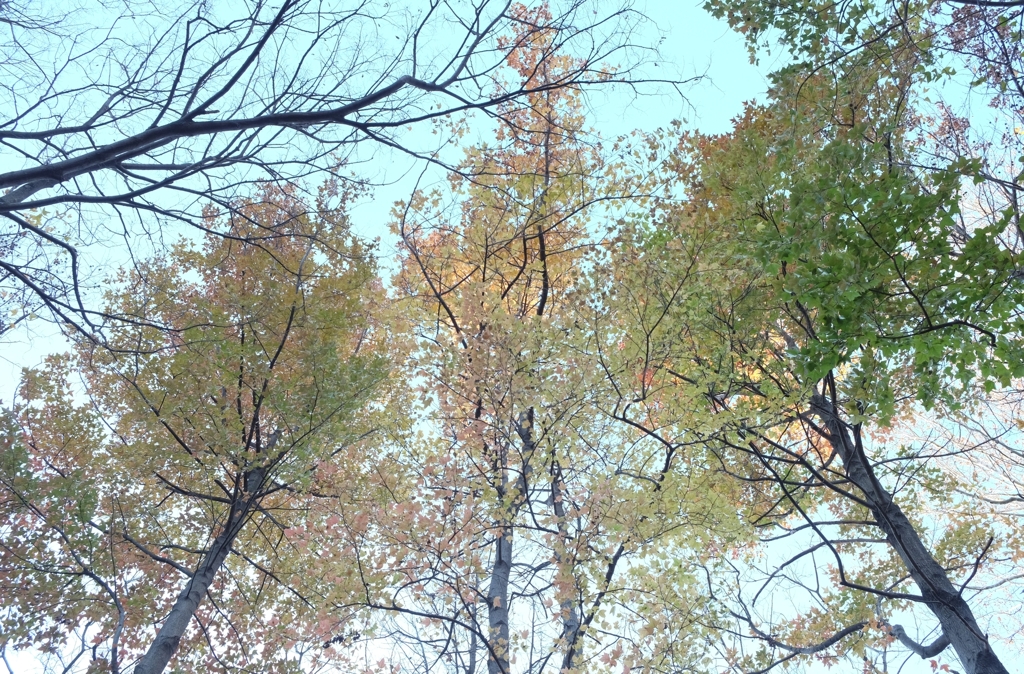 DSCF2923_3