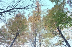 DSCF2923_3