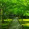 三千院にて　４
