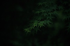 闇に浮かぶ
