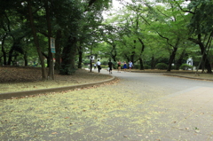 公園散歩