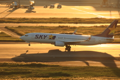 SKY MARK 737の離陸