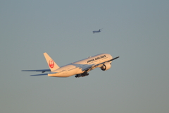 JAL & 遠めにANA