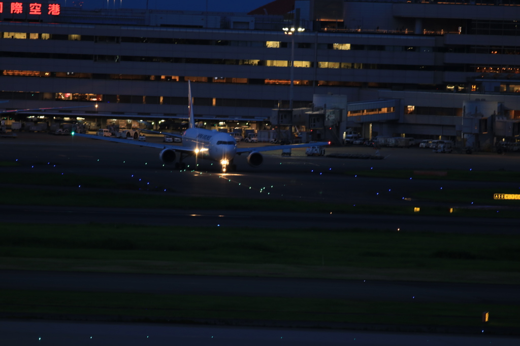 JAL機　
