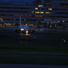 JAL機　