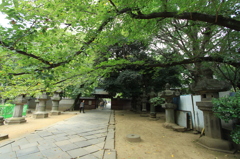 境内 １