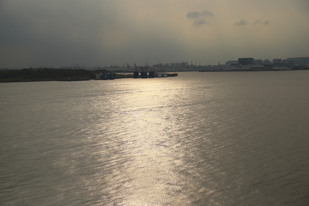 海