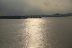 海