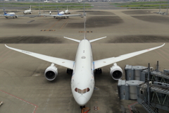 BOEING 787を正面から。