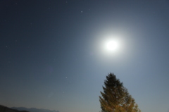 月が眩しい夜