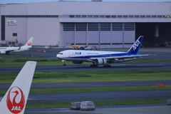 ANA in Haneda Airport