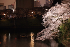 千鳥ヶ淵の桜