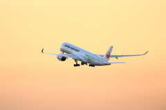A350 of JAL