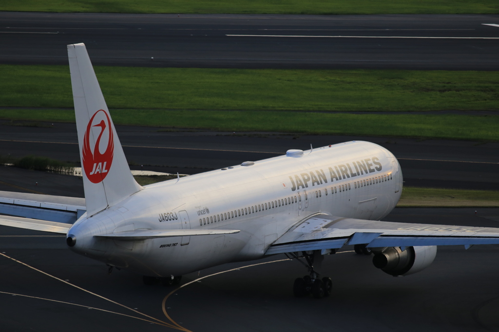 夕日が当たるJAL機