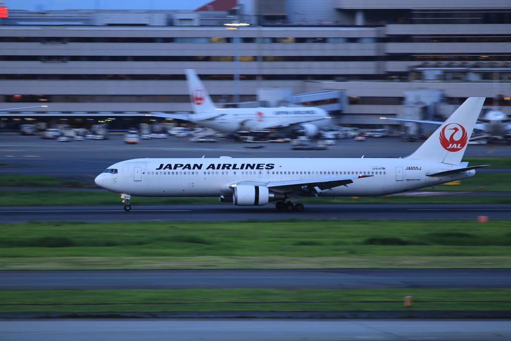 JAL in Haneda Airport