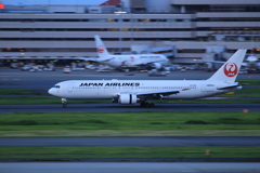 JAL in Haneda Airport