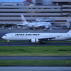 JAL in Haneda Airport