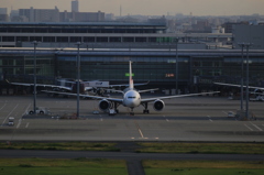 in Haneda International Airport