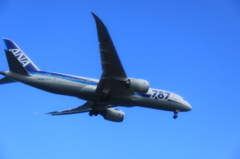 城南島海浜公園 にて　ANA787だ。
