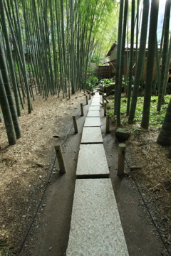 in Kamakura