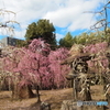 城南宮①