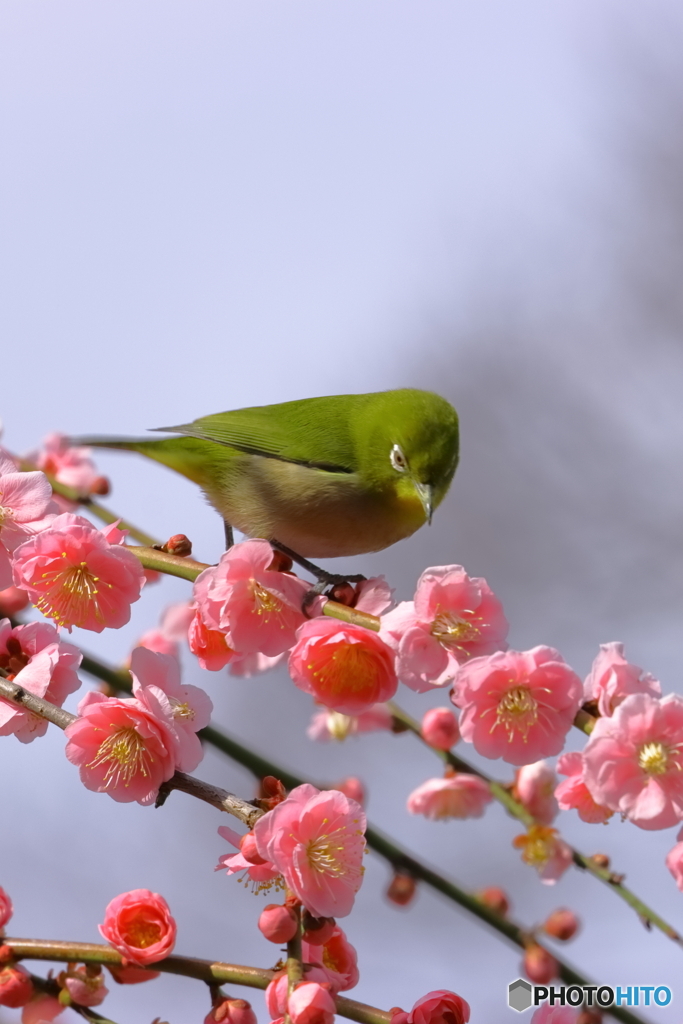 城南宮⑦