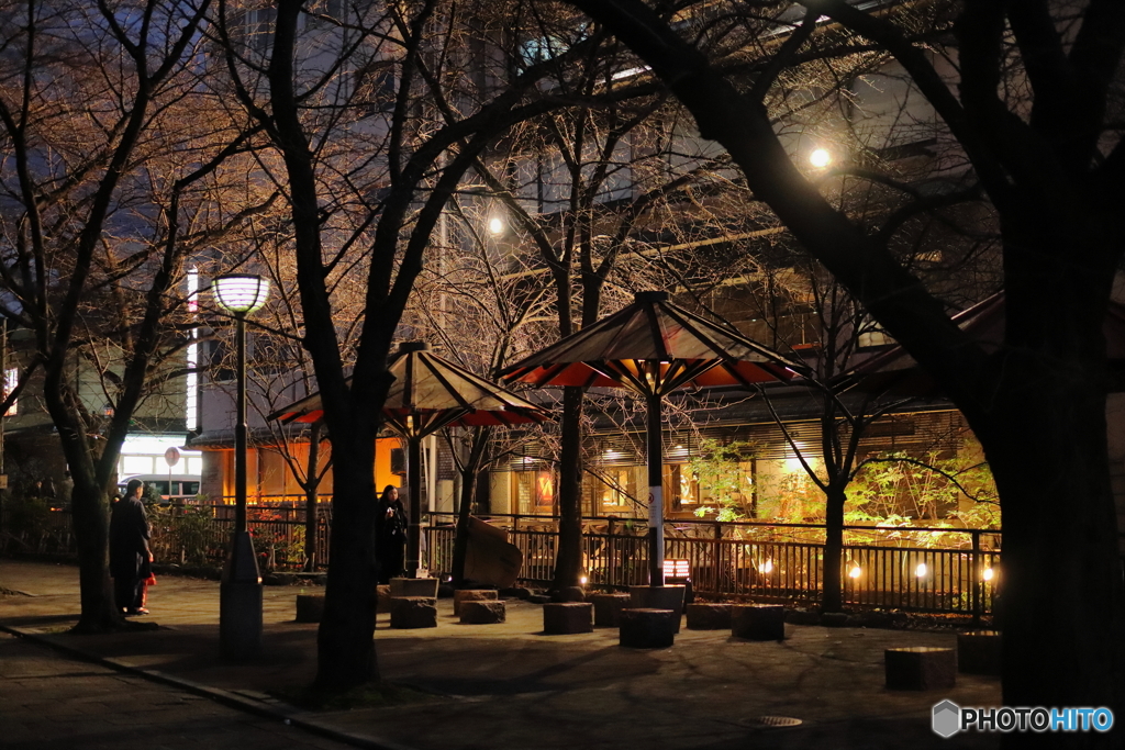 京都散策④