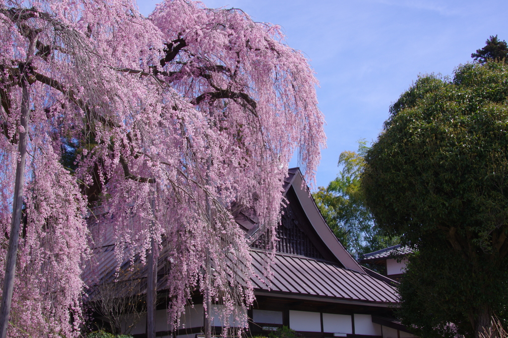 慈雲寺冠飾り