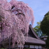 慈雲寺冠飾り