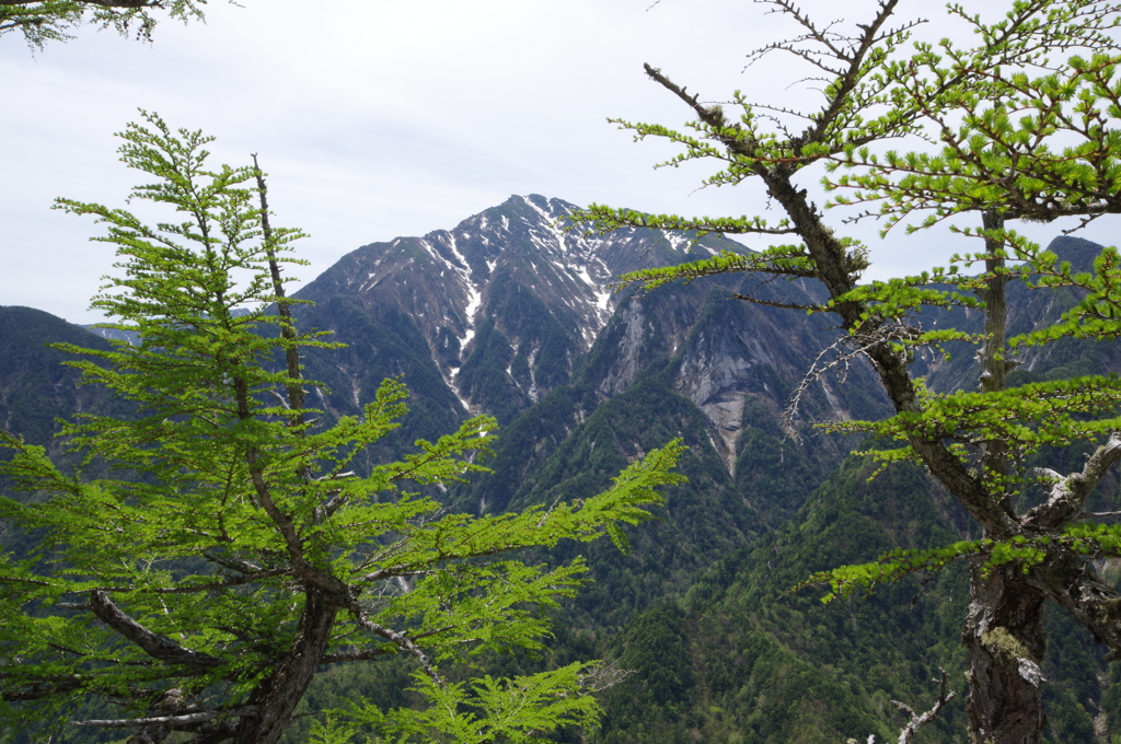 甲斐の名峰