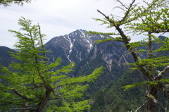 甲斐の名峰