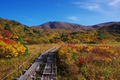 栗駒山へようこそ。