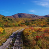 栗駒山へようこそ。
