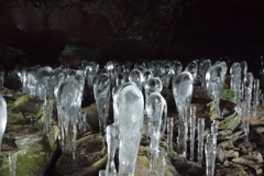氷荀