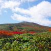 悠々と紅葉を纏い！