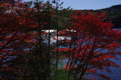 紅の間