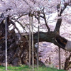 時を超えてもなお